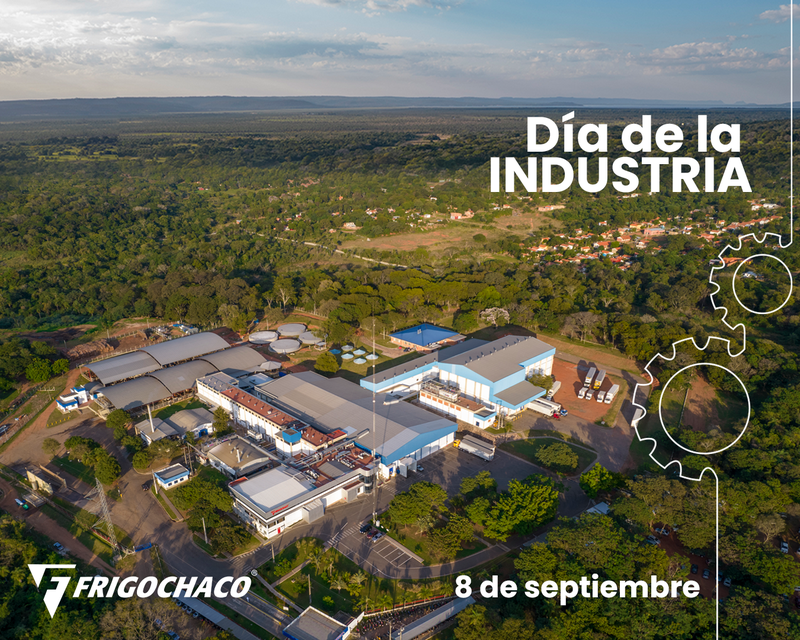 Día de la industria