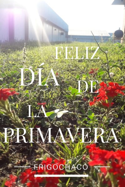 Día de la Primavera