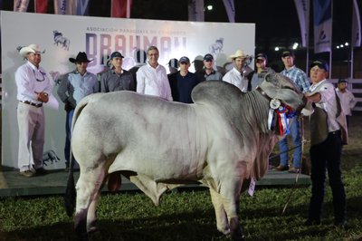 Expo MRA