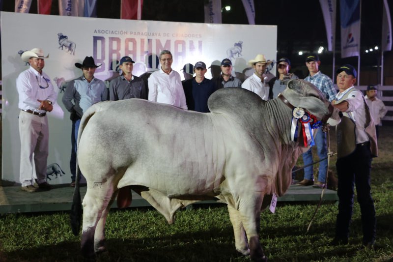Expo MRA