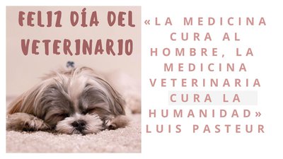 Día del Veterinario