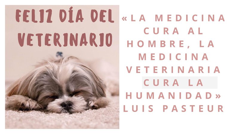 Día del Veterinario